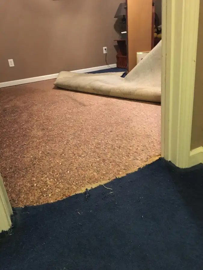 Carpet pad removal revealing water damage during Drying & Dehumidification in Eugene