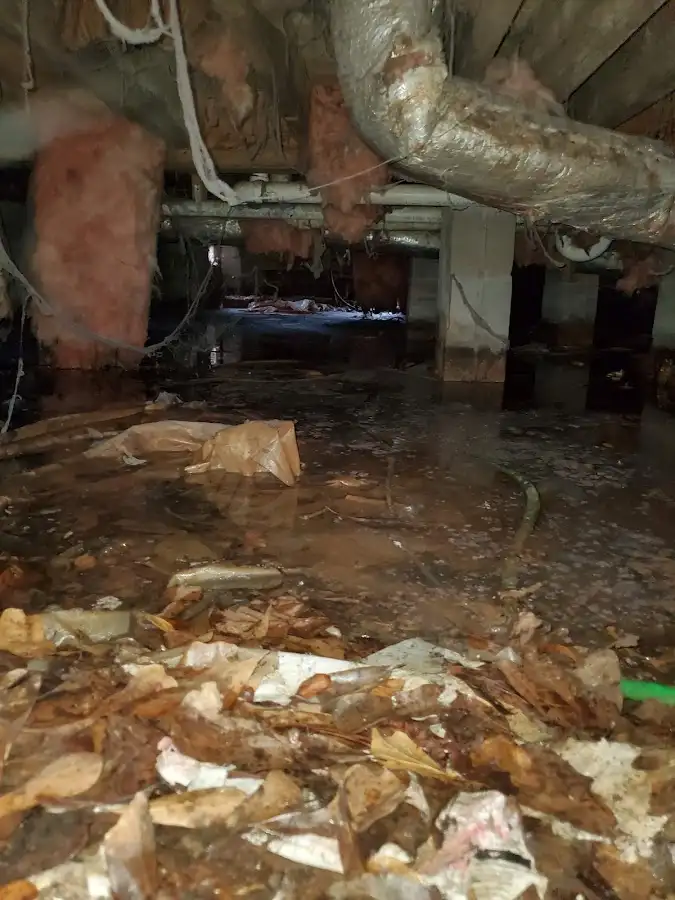 Crawl space flood assessment for Leak Detection & Repair in Eugene