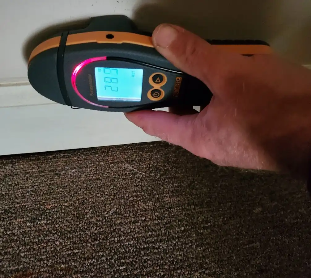 Moisture detection at baseboard during Burst Pipe Cleanup in Eugene